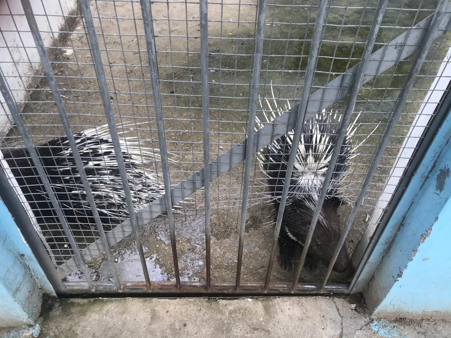 天鵝湖風(fēng)景區(qū)（泰山）速覽！(圖10)