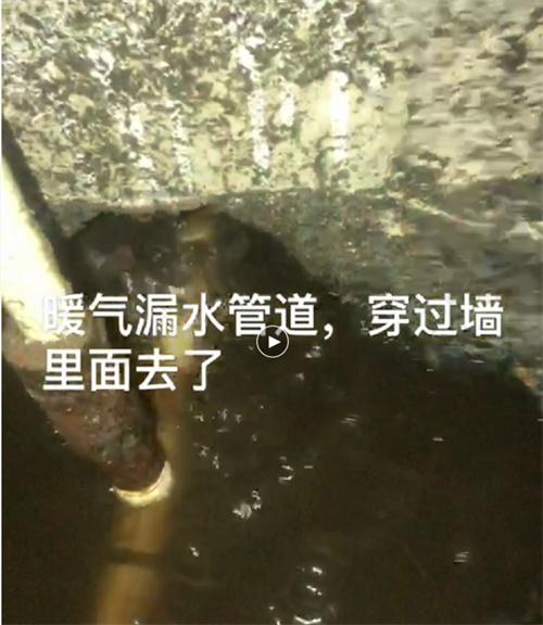精準(zhǔn)檢測漏水、滲水：客廳、廚房、衛(wèi)生間。。。(圖4)